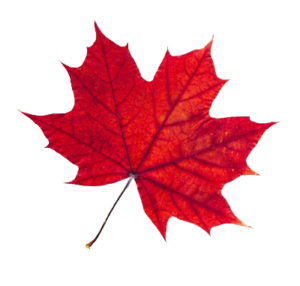 ProudlyCanadian-removebg-preview F
