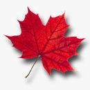 ac9de50e-a7d3-475e-a6f0-1ee687898bf8